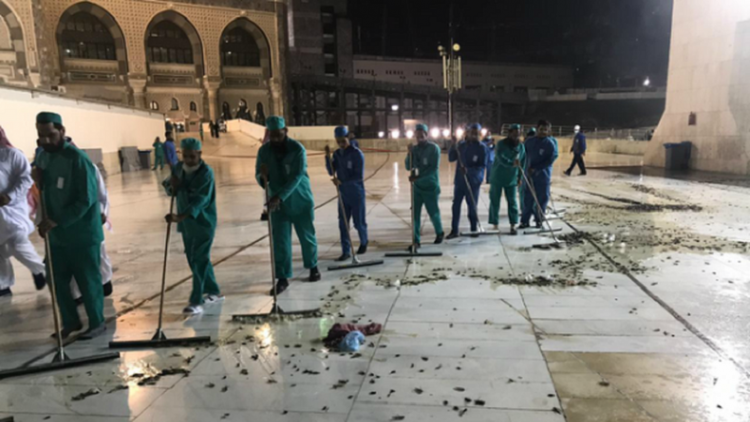 serangga masjidil haram