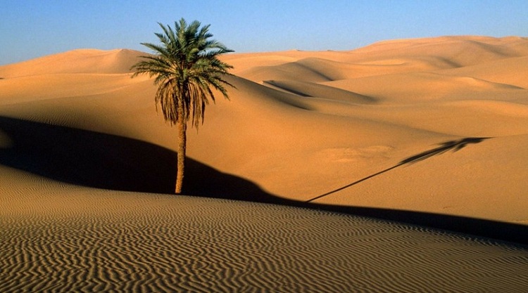 tanah arab